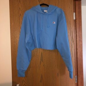 Champion Cropped Hoodie
